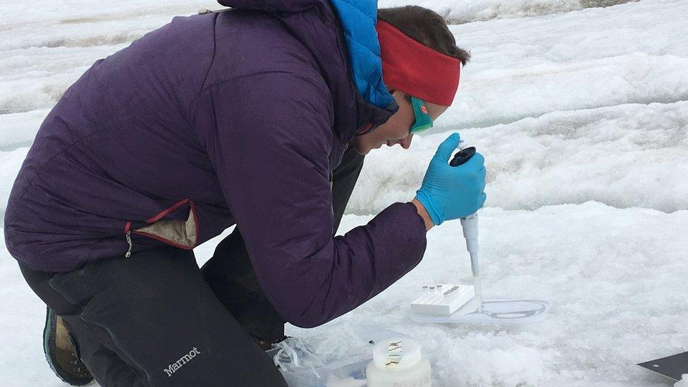 Dr Ian Stevens preparing meltwater samples for transport prior to analysis