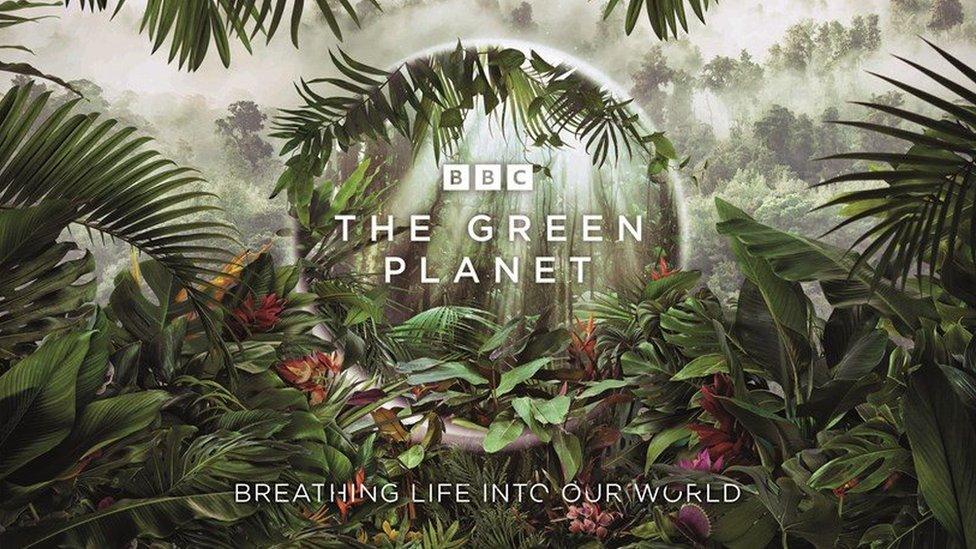 Green Planet poster