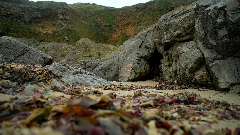 Gower raised beach