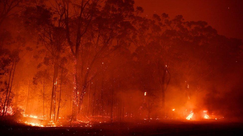 australia-bushfires.