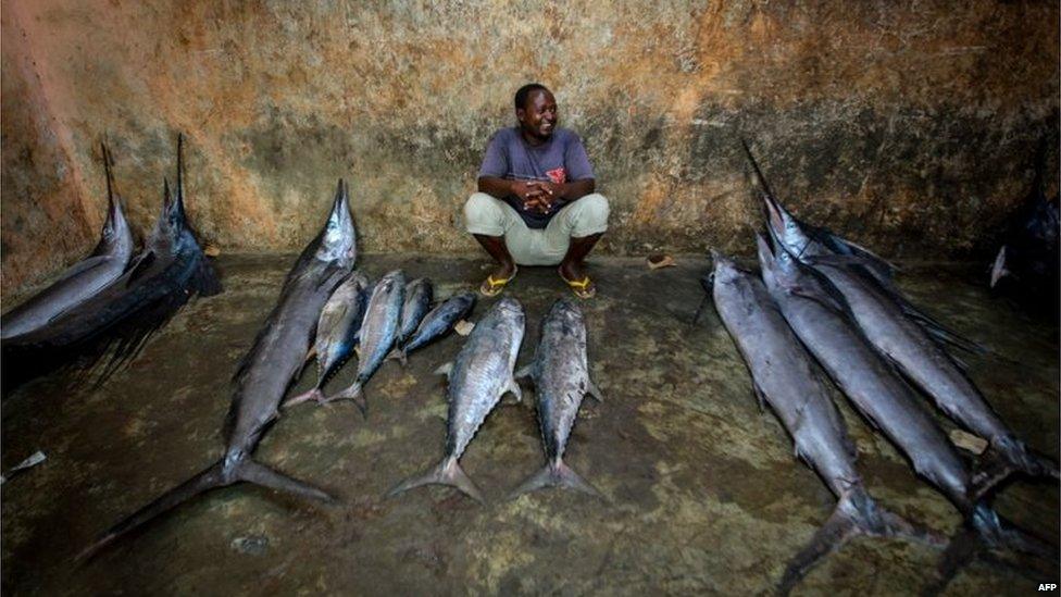 A handout photograph taken taken on March 16, 2013 and released on March 18 by the African Union-United Nations Information Support Team showsa a trader waiting to sell fish inside the fish market in the Xamar Weyne district of Mogadishu.