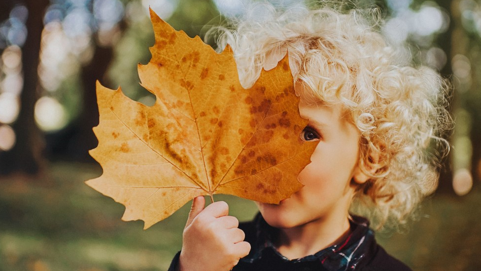 boy-holding-leaf