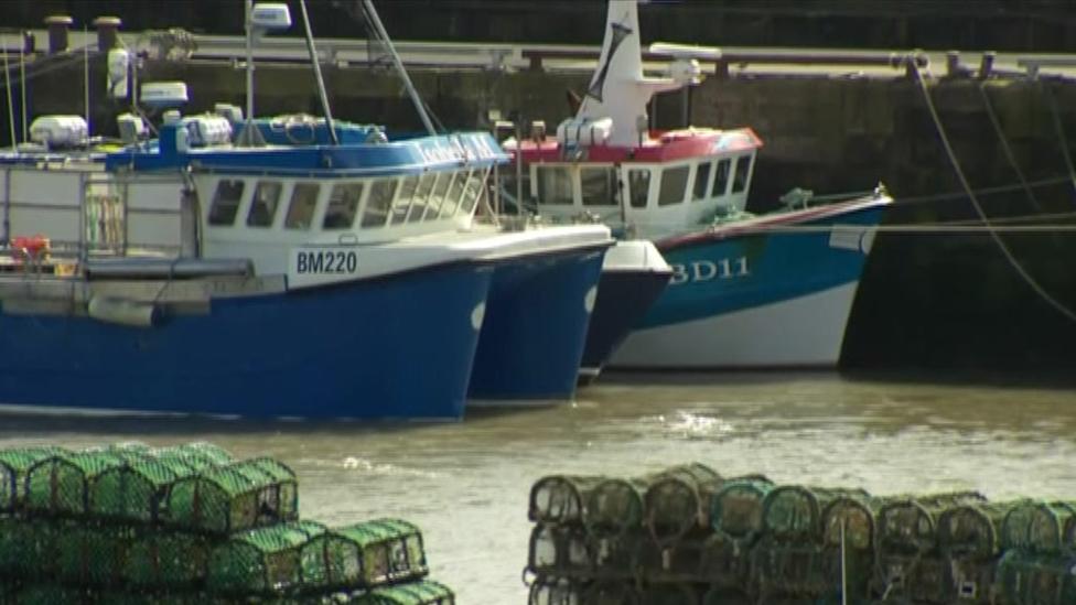 Fishing boats tied up