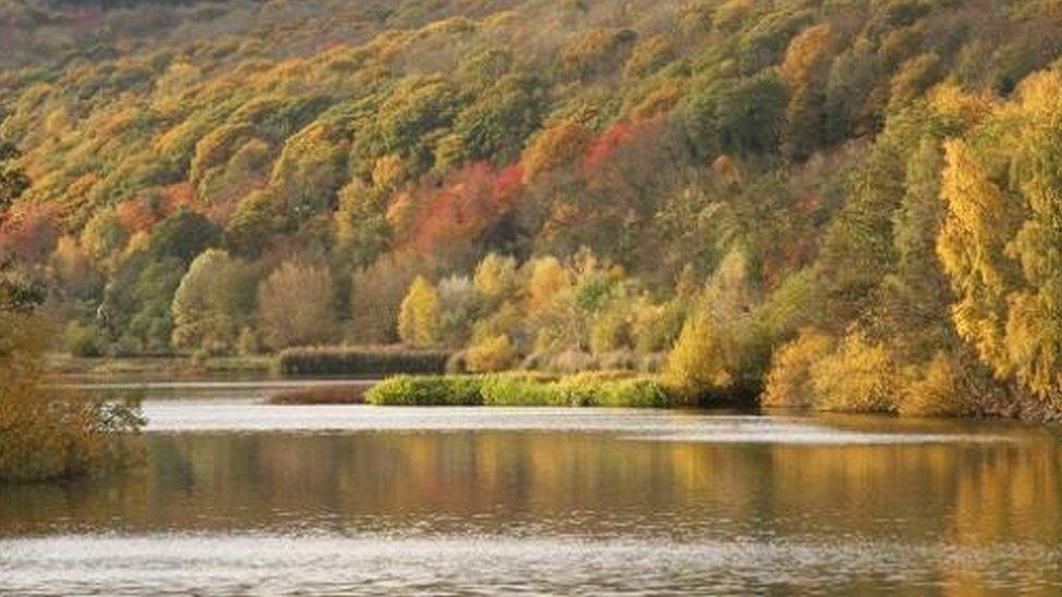 Bodenham Lake Nature Reserve