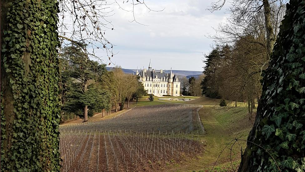 Chateau Le Gallais Clicquot seen through the trees