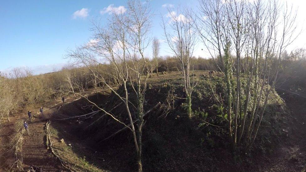 The National Trust is cutting down trees to reveal the historic site