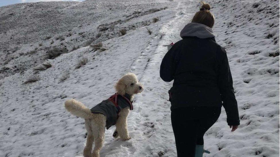 Olivia walking her dog