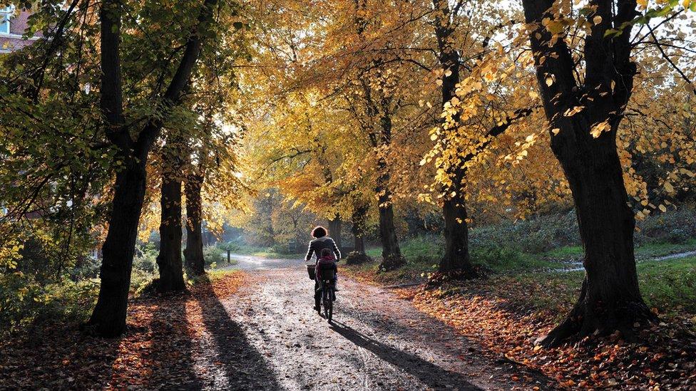 Hampstead Heath