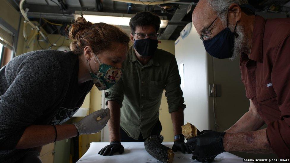 Researchers analysing the mammoth tusk on a table