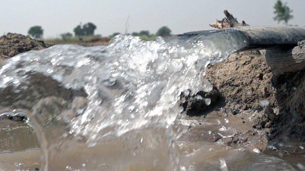 water irrigating a field