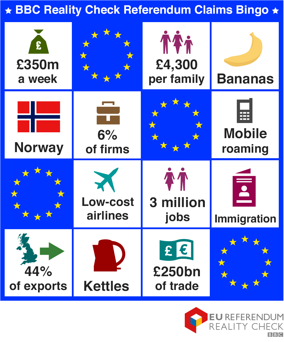 EU Referendum bingo card