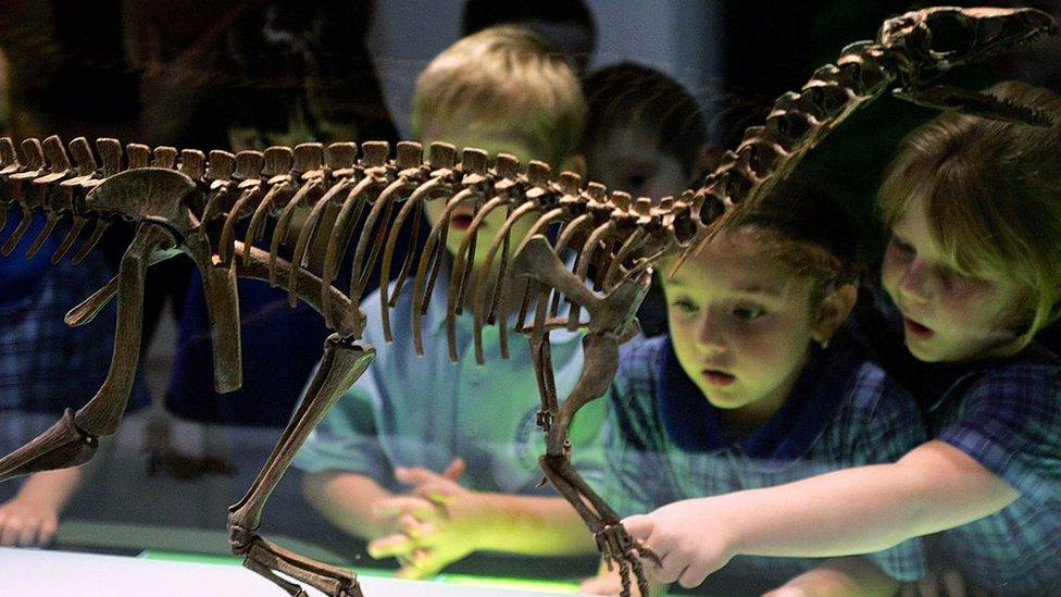 children-looking-at-artefact.