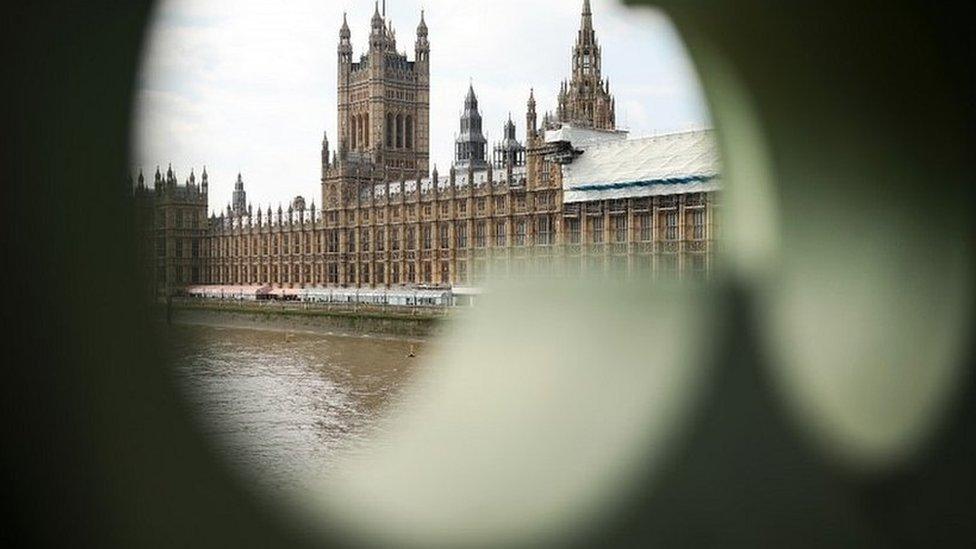 View of the House of the Commons