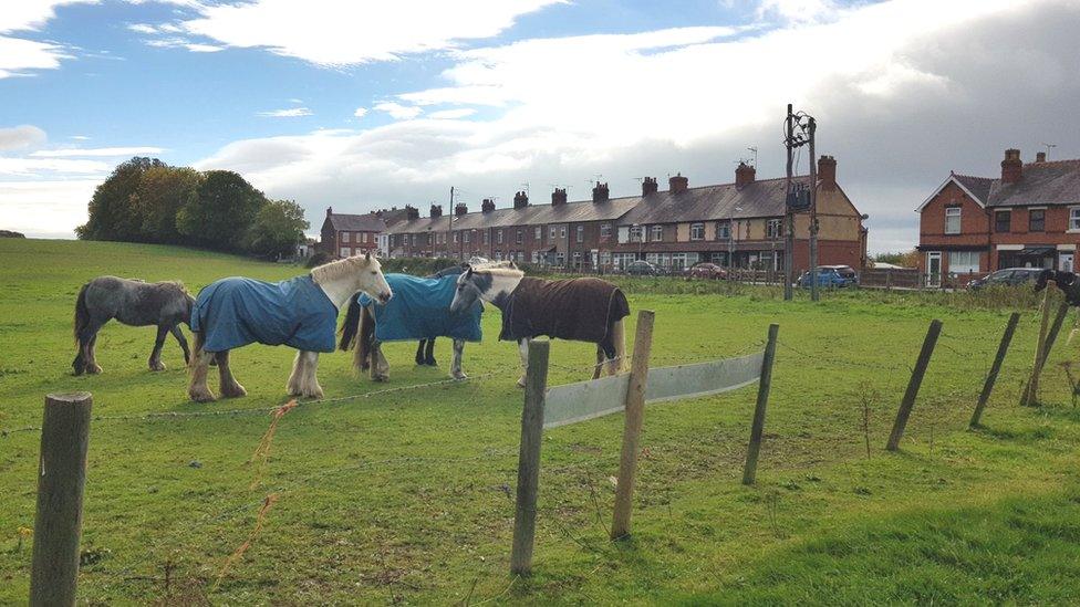 Grazing land at New Broughton