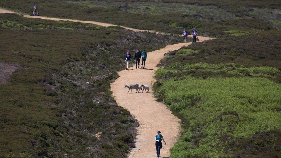 Walkers in Peak District