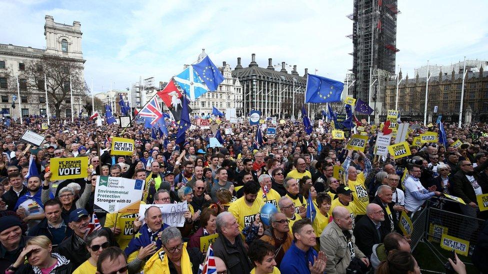 Protestors at the People's Vote march