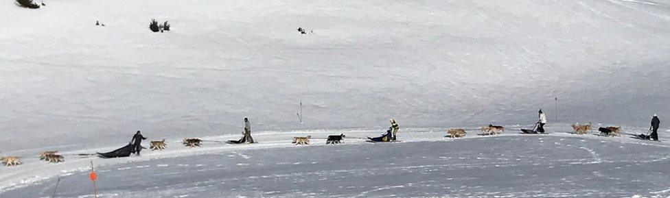 Mushers in the Pyrenees