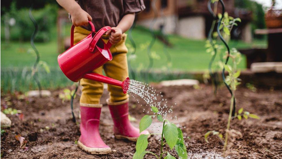 child watering plants