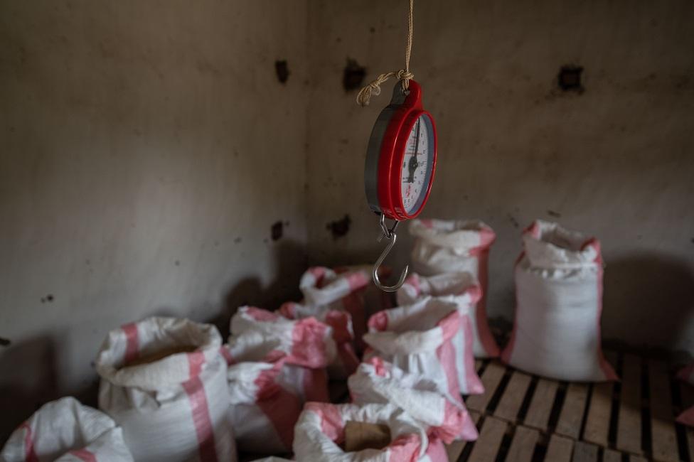 Coffee in bags ready for delivery. On Idjwi, 14th April 2022.