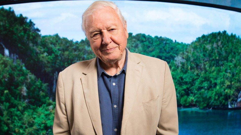 Sir David Attenborough