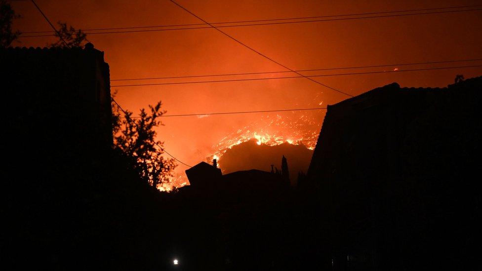 A wildfire burns at the Trapeza village, in Achaia Peloponnese, Greece.