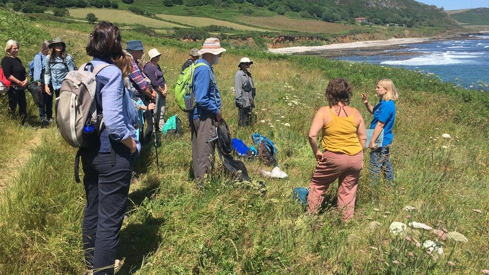 Pollinator survey volunteers training at East Prawle