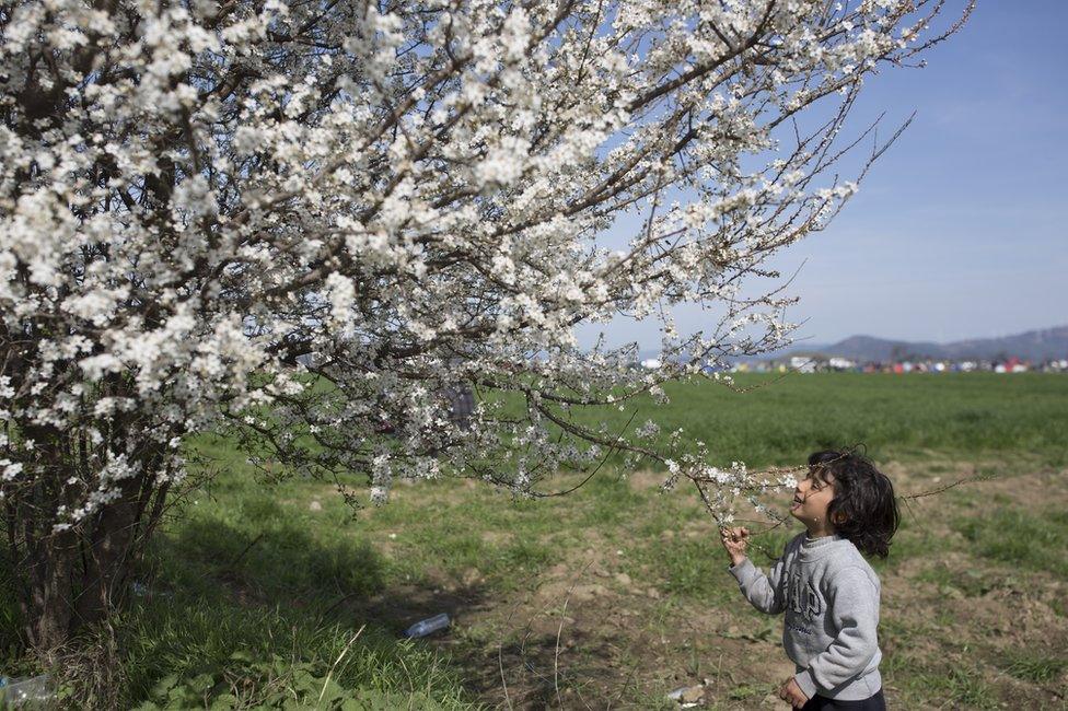 Migrants camping near the Idomeni border crossing in northern Greece, 5 March