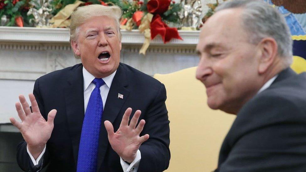 Trump and Schumer