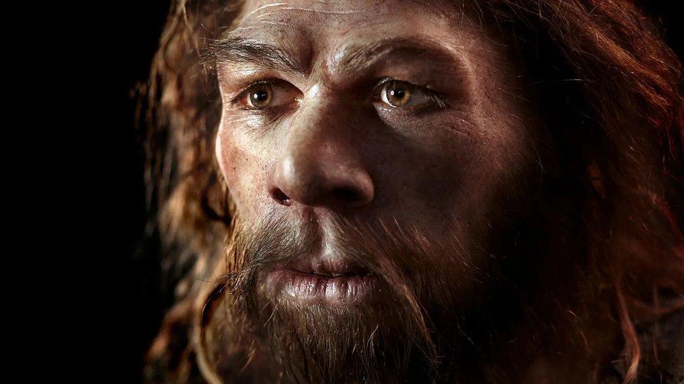 Model of a Neanderthal face.