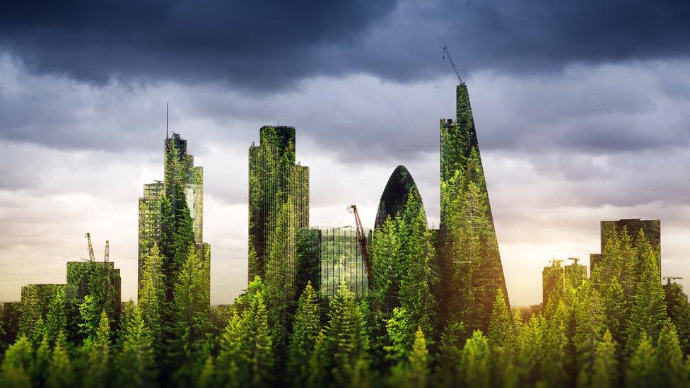 Trees and the London Skyline