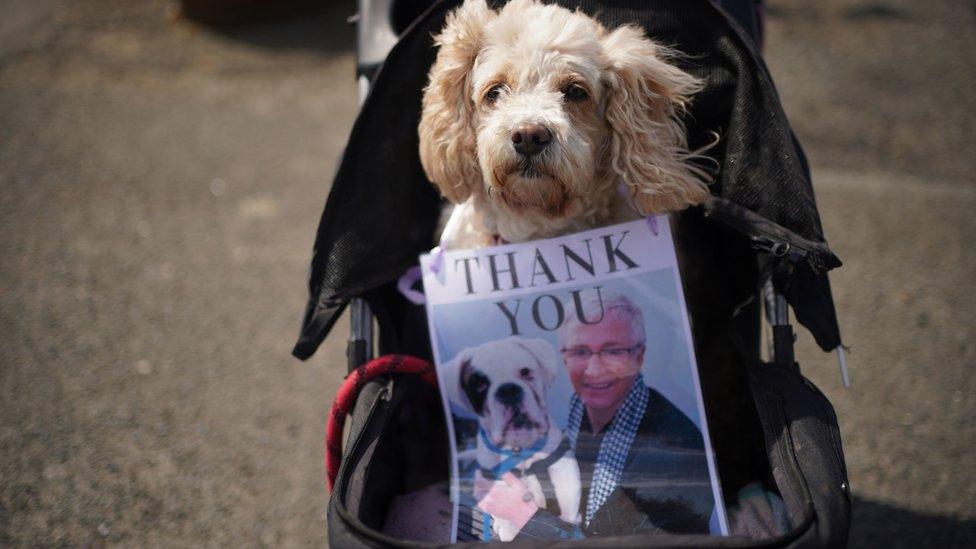 Dog with picture of O'Grady with 'Thank you'