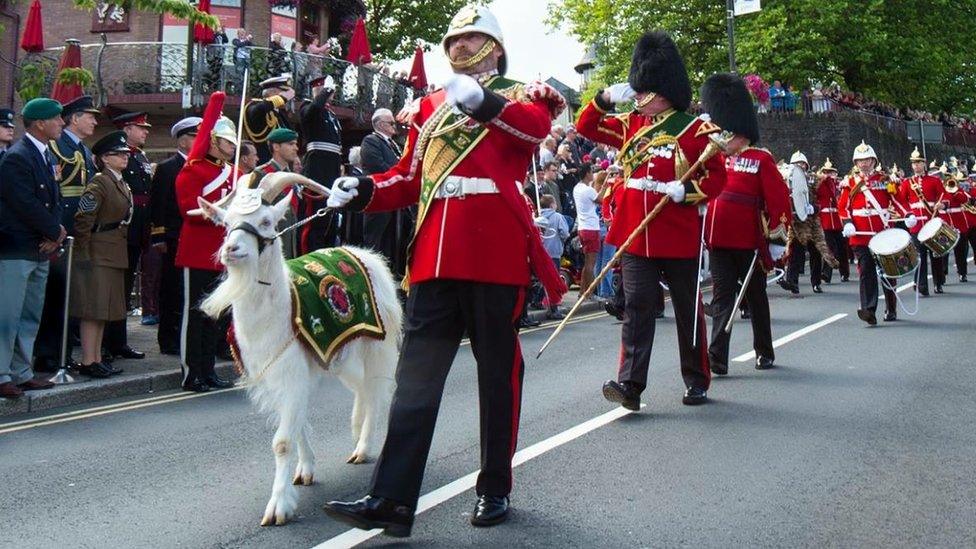 Shenkin with his handler Goat Major Sergeant Mark Jackson