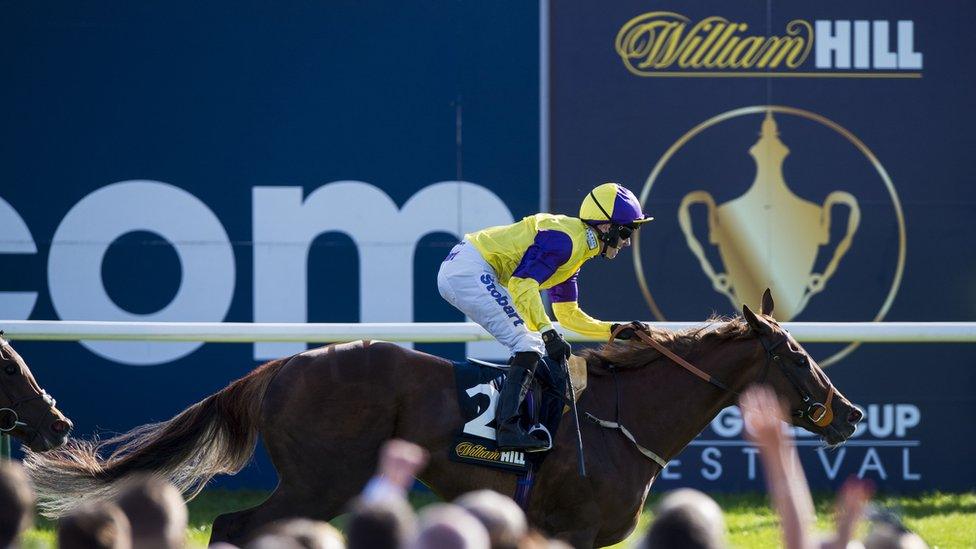 William Hill horserace