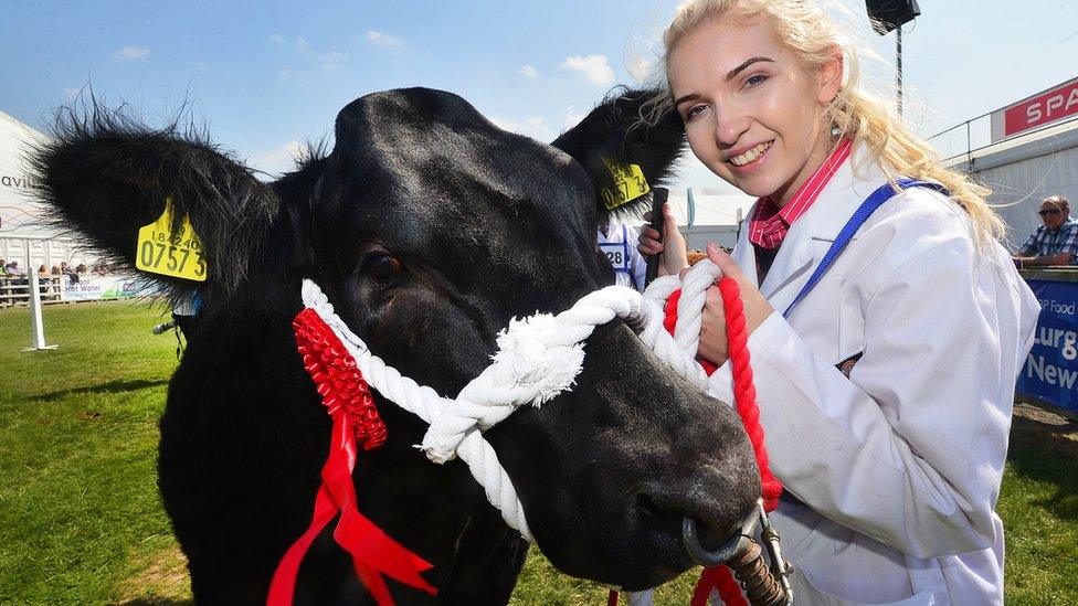Tara O'Brien from Dungannon and her Commercial Heifer pictured during the annual Balmoral Show