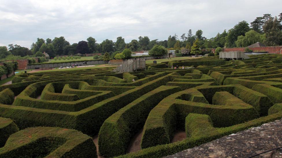 The hedge maze at Blenheim Palace