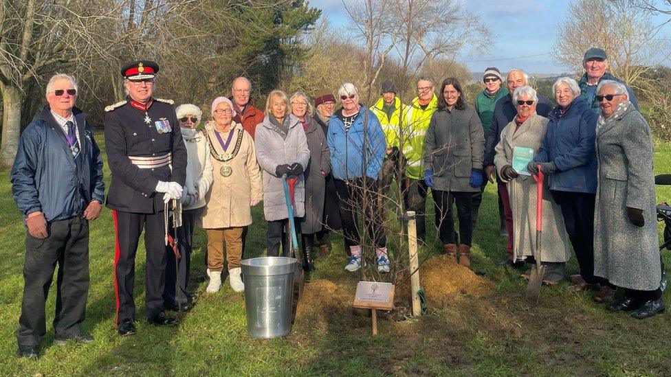 Crowd at tree planting