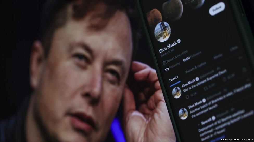 Elon Musk next to his twitter profile