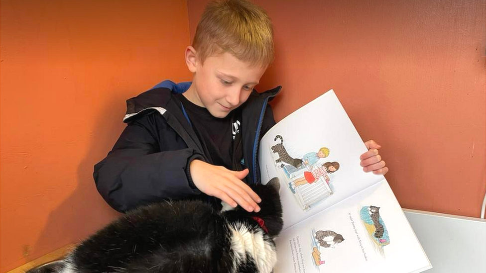 Boy reading to cat