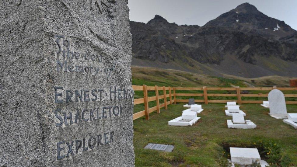 Shackleton's grave