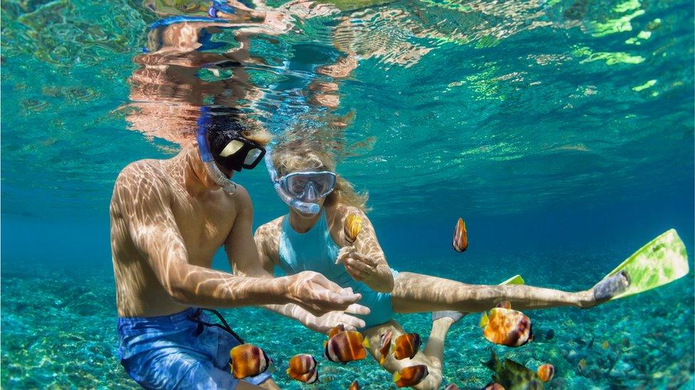 two people underwater wearing snorkels interact with colourful fish swimming in shallow sea water