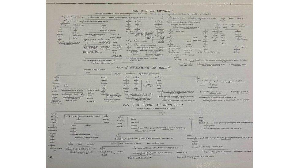 Coeden deulu Owain Gwynedd yn y Griffith's Pedigrees (1914)