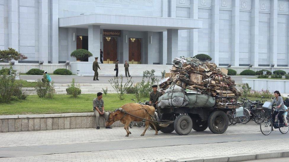 Ox-drawn carriage