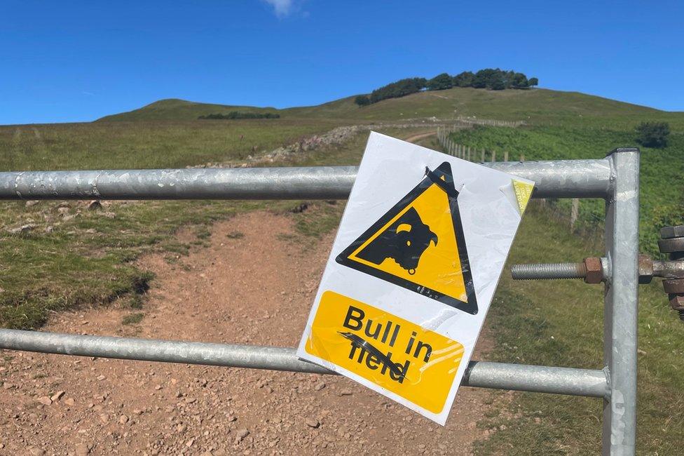 Bull sign on Turnhouse Hill in the Pentlands