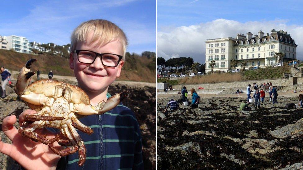 Boy with crab, rockpool survey in Falmouth