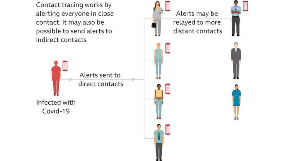 contact-tracing-explained.