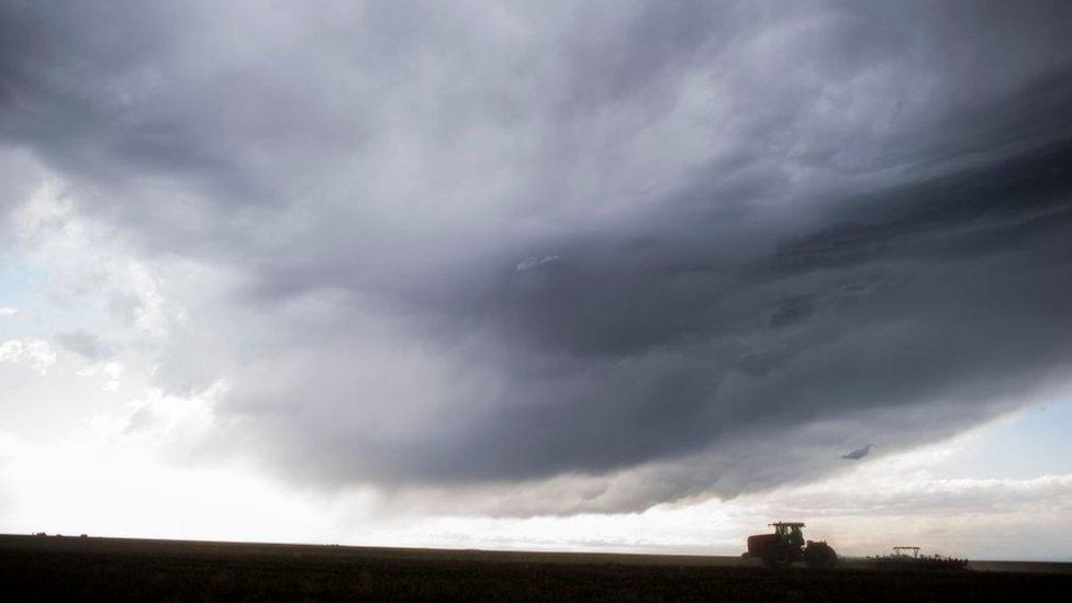 Fifth generation wheat farmer Senator Jon Tester (D-MT) cultivates on his 1800 acre farm land in Big Sandy, Montana Thursday April 13, 2017.