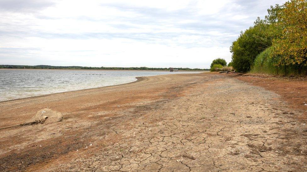 Arlington reservoir