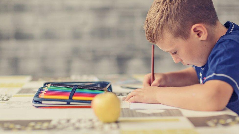 Boy doing homework