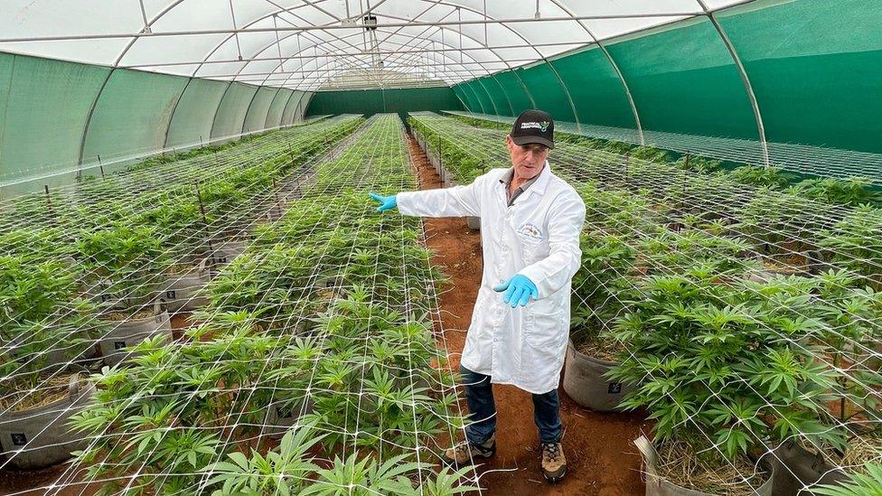 The Sweet Water Aquaponics facility in the Eastern Cape.