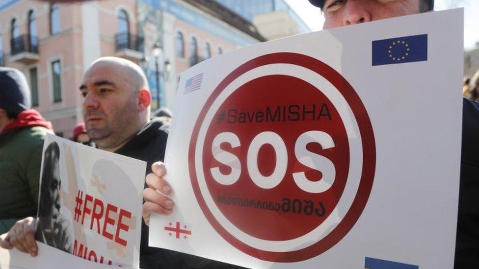 Demonstrators in Tbilisi - 20 February